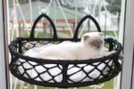 C-Pet Cam Güzeli Cama Takılabilen Kedi Yatağı