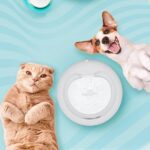 Cattie Kedi ve Köpek Klasik Model Arıtmalı Su Pınarı Antrasit - Görsel 5