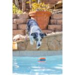 Chuckit Suda Batmayan Köpek Oyun Halkası - Görsel 3