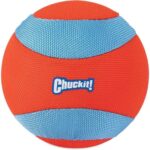Chuckit! Suda Batmayan Mega Köpek Oyun Topu - Görsel 2