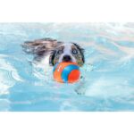 Chuckit! Suda Batmayan Mega Köpek Oyun Topu - Görsel 3
