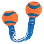 Chuckit Ultra Duo Tug 2li Köpek Çekiştirme Topu (Küçük Boy) - Görsel 5