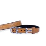 Doggie Konforlu Gerçek Deriden El Yapımı Kemik Desenli Köpek Boyun Tasması 2x30-35cm - Açık Kahve