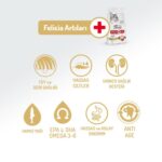 Felicia Kuzulu Yetişkin Kedi Maması 2 Kg - Görsel 2