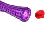 Gigwi Johnny Stick Ödül Muhafazalı Kemik 20 Cm Köpek Oyuncağı - Görsel 6