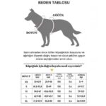 Hesperus Göğüs Tasması (Yeni Nesil) Small - Görsel 5