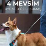 Hesperus Göğüs Tasması (Yeni Nesil) X-Small - Görsel 3