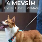Hesperus Göğüs Tasması (Yeni Nesil) X-Large - Görsel 8