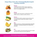 N&D Tropical Selection Somonlu ve Tropikal Meyveli Orta ve Büyük Irk Yetişkin Köpek Maması 10 Kg - Görsel 3