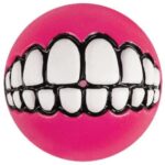 Rogz Toyz Grinz Ödül Hazneli Köpek Oyun Topu Pembe 7.8 Cm