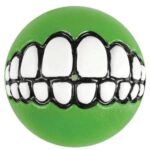 Rogz Toyz Grinz Ödül Hazneli Köpek Oyun Topu Yeşil 7.8 Cm