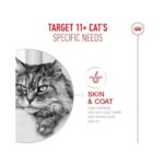 Royal Canin Ageing Cat Yaşlı Kedi Maması 2 Kg - Görsel 5