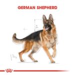 Royal Canin Alman Kurtları İçin Yetişkin Köpek Maması 11 Kg - Görsel 4