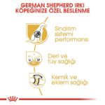 Royal Canin Alman Kurtları İçin Yetişkin Köpek Maması 11 Kg - Görsel 5
