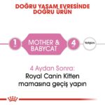 Royal Canin Baby Cat Instinctive Yavru Kedi Maması 195 Gr - Görsel 4