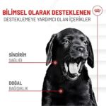 Royal Canin Bağışıklık ve Sindirim Sistemi Destekleyici Yavru Köpek Ödül Maması 100gr - Görsel 2