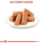 Royal Canin British Shorthair Yaş Kedi Maması 85 Gr - Görsel 3