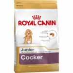 Royal Canin Cocker Junior Yavru Köpek Maması 3 Kg - Görsel 2