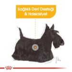 Royal Canin Dermacomfort Loaf Köpek Yaş Maması 85 Gr - Görsel 4