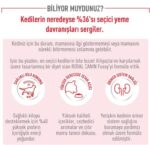 Royal Canin Fussy Exgient Seçici Kedilere Özel Yetişkin Kedi Maması 10 Kg - Görsel 7