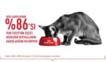 Royal Canin Fussy Exgient Seçici Kedilere Özel Yetişkin Kedi Maması 2 Kg - Görsel 6