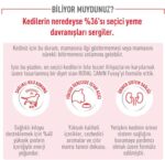 Royal Canin Fussy Exgient Seçici Kedilere Özel Yetişkin Kedi Maması 2 Kg - Görsel 7