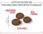 Royal Canin Fussy Exgient Seçici Kedilere Özel Yetişkin Kedi Maması 4 Kg - Görsel 5