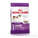 Royal Canin Giant Adult Dev Irk Köpek Maması 15 Kg - Görsel 2