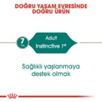 Royal Canin Instinctive +7 Gravy Yaş Kedi Maması 85 gr - Görsel 4