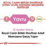Royal Canin British Shorthair Yavru Kedi Maması 2 Kg - Görsel 4
