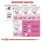 Royal Canin Yavru Kedi Maması 4 Kg - Görsel 5