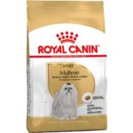 Royal Canin Maltese Bichon Yetişkin Köpek Maması 1