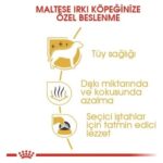 Royal Canin Maltese Bichon Yetişkin Köpek Maması 1,5 Kg - Görsel 4