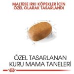 Royal Canin Maltese Bichon Yetişkin Köpek Maması 1,5 Kg - Görsel 5