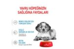 Royal Canin Medium Puppy Köpek Yaş Maması 140 Gr - Görsel 5