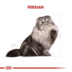 Royal Canin Pouch Persian İran Kedilerine Özel Yaş Maması 85 Gr - Görsel 5