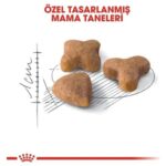 Royal Canin Sensible 33 Kuru Kedi Maması 2 Kg - Görsel 4