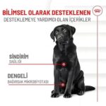 Royal Canin Sindirim Sistemi Destekli Yetişkin Köpek Ödül Maması 160gr - Görsel 2