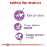 Royal Canin Kısırlaştırılmış Kedi Maması 15 Kg - Görsel 3