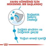 Royal Canin X-Small Puppy Küçük Irk Yavru Köpek Maması 3 Kg - Görsel 5