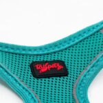 Tailpetz Air Mesh Harness Göğüs Tasması Emerald X-Small - Görsel 9