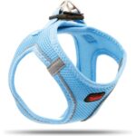 Tailpetz Air Mesh Harness Göğüs Tasması Mavi Small