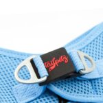 Tailpetz Air Mesh Harness Göğüs Tasması Mavi X-Large - Görsel 3