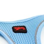 Tailpetz Air Mesh Harness Göğüs Tasması Mavi XX-Small - Görsel 7