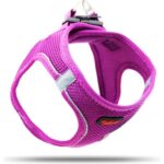 Tailpetz Air Mesh Harness Göğüs Tasması Mor XXXS