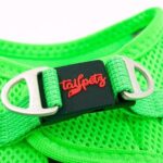 Tailpetz Air Mesh Harness Göğüs Tasması Neon Yeşil Small - Görsel 5