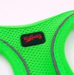 Tailpetz Air Mesh Harness Göğüs Tasması Neon Yeşil Small - Görsel 6