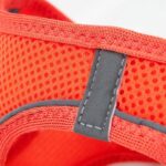 Tailpetz Air Mesh Harness Göğüs Tasması Salmon Large - Görsel 8