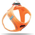 Tailpetz Air Mesh Harness GöğüsTasması Turuncu Medium