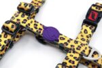 Tailpetz Leopard Göğüs Tasmasi Medium - Görsel 3